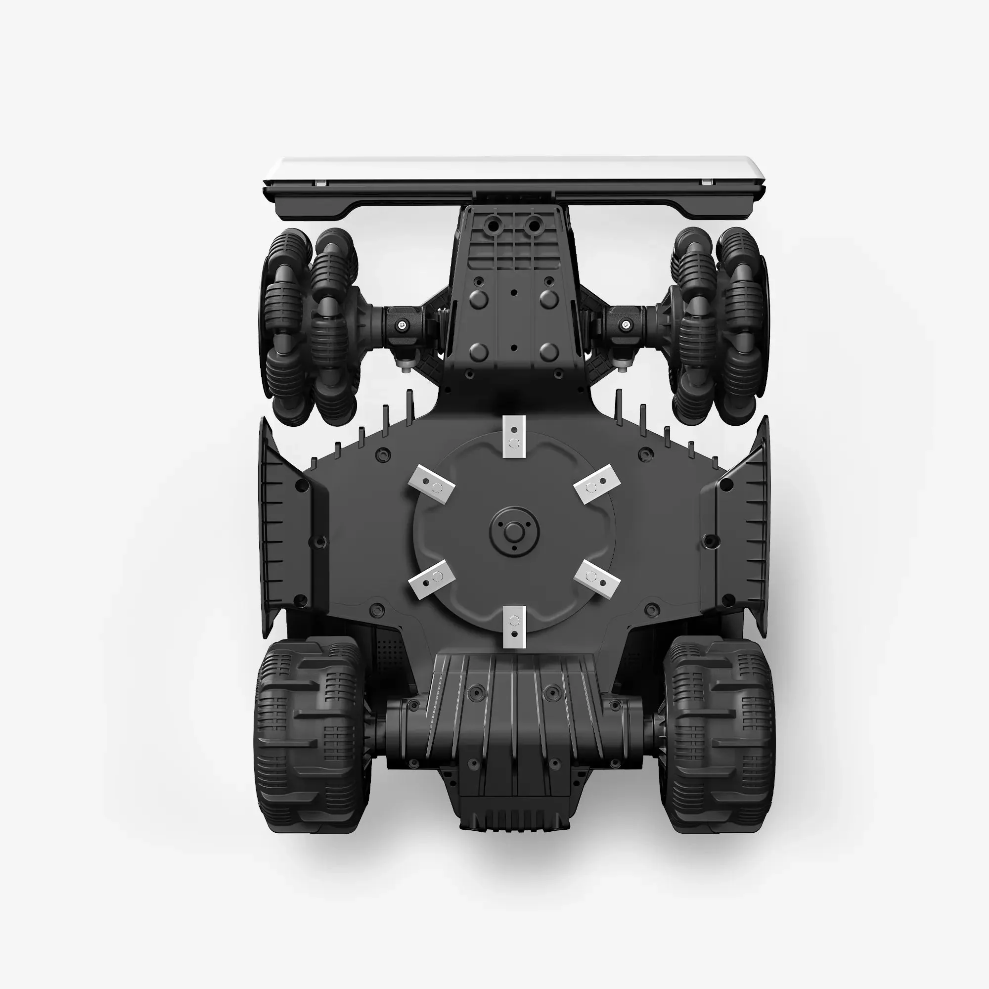 LUBA Mini – 7-Day Try Before You Buy - Image 3